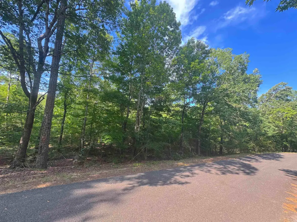 30 Villacarriedo Circle, Hot Springs Village, AR 71909 - Image #1