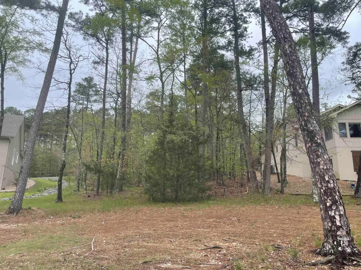 74 Justa Via Way, Hot Springs Village, AR 71909 - Image #1