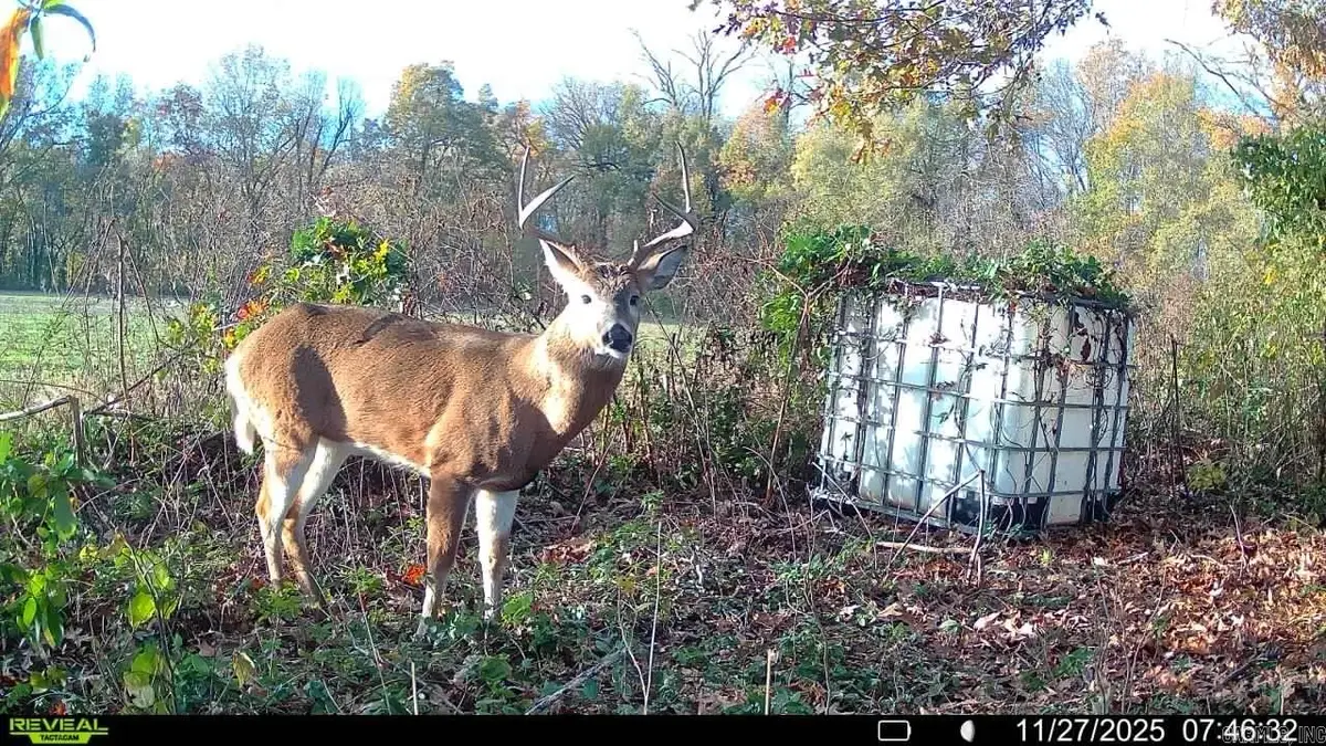 00 Copeland Rd, Crawfordsville, AR 72327 - #1