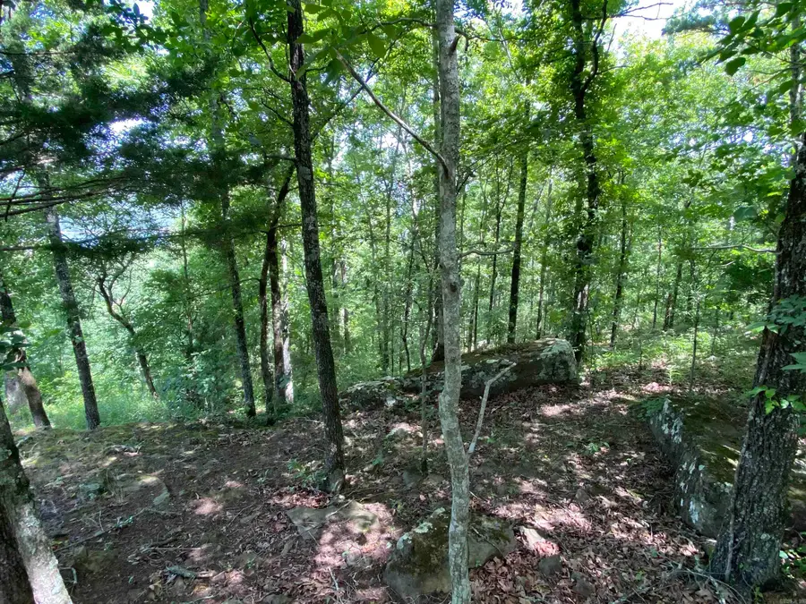 Lot 2 Bluff Drive, Edgemont, AR 72044 - Image #2