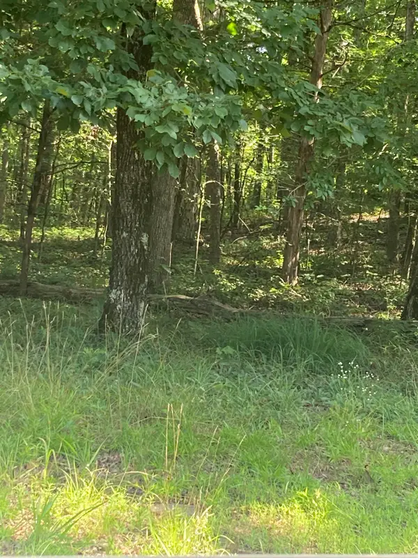 Lot 114 block12 Woodlawn Dr, Fairfield Bay, AR 72088