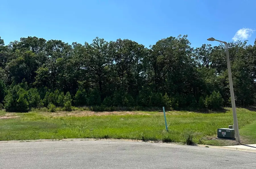 3911 Wigeon Cove, Jonesboro, AR 72404 - Image #2