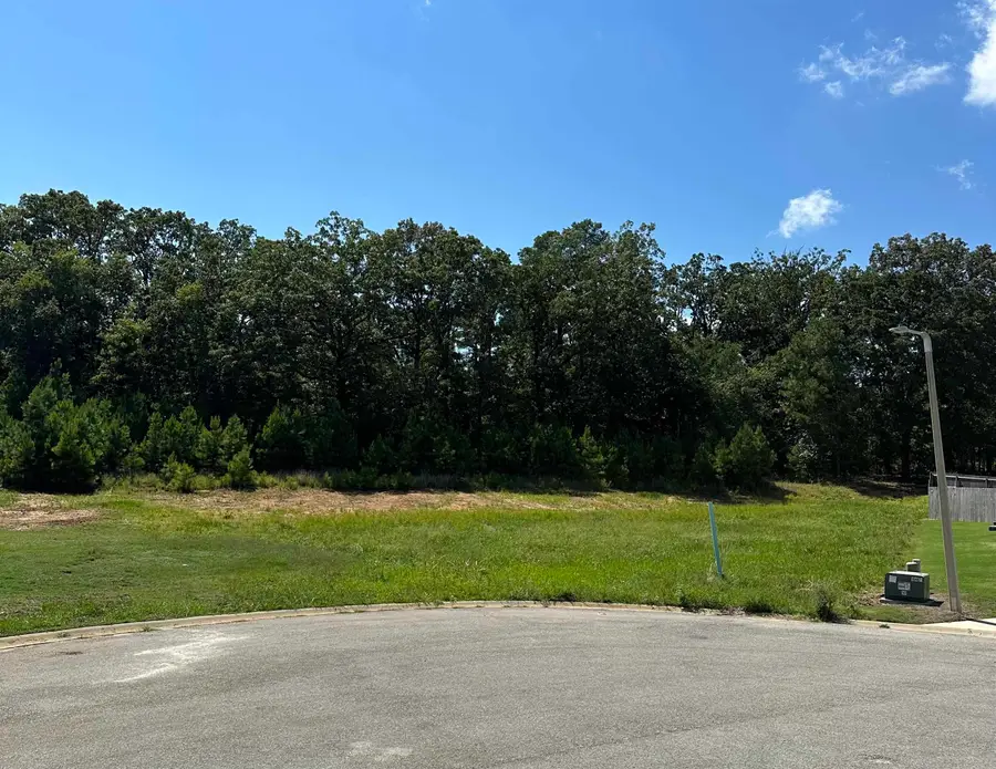 3911 Wigeon Cove, Jonesboro, AR 72404 - Image #3