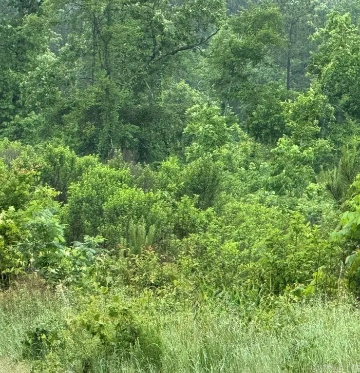 300 Block Angel Street, Amity, AR 71921 - Image #2