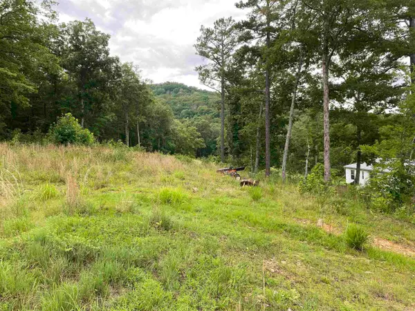 7897 Trace Ridge Road, Leslie, AR 72645