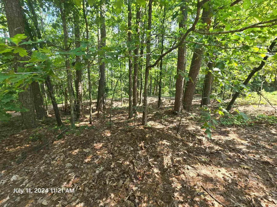 0 Sunnyvale Court, Fairfield Bay, AR 72088 - Image #3