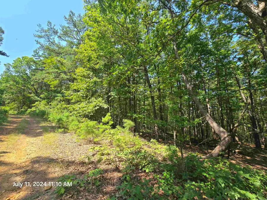 0 Diamond Lane, Fairfield Bay, AR 72088 - Image #2