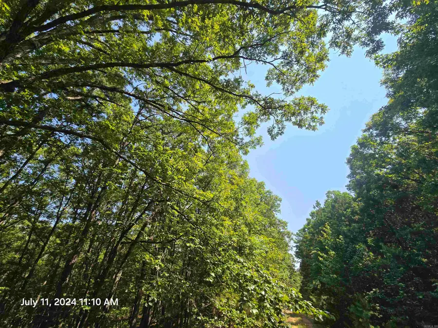 0 Diamond Lane, Fairfield Bay, AR 72088 - Image #3