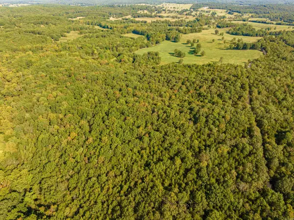 0 Silver Springs, Evening Shade, AR 72532