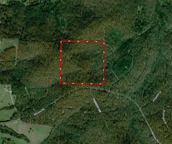 TBD Wynona Rd, Ash Flat, AR 72513 - Image #2