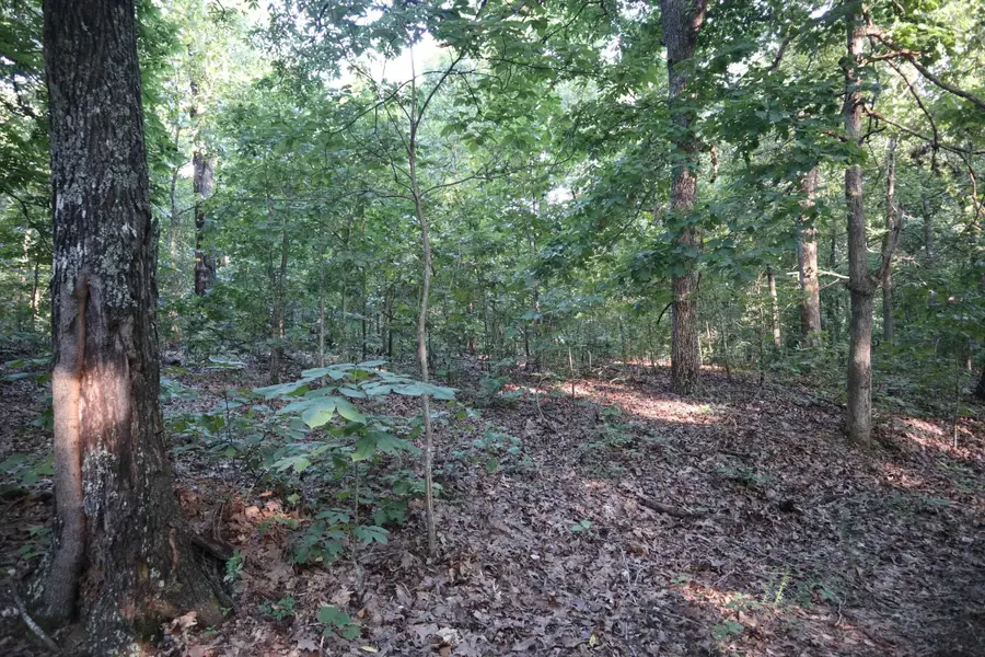 TBD Wynona Rd, Ash Flat, AR 72513 - Image #3