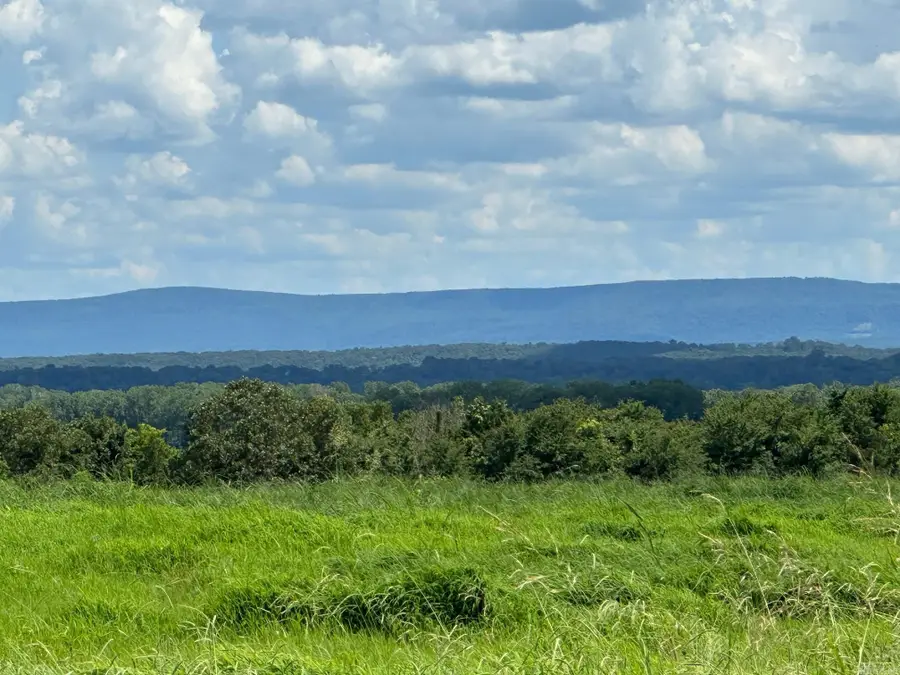 TBD River Road, Coal Hill, AR 72832 - Image #2