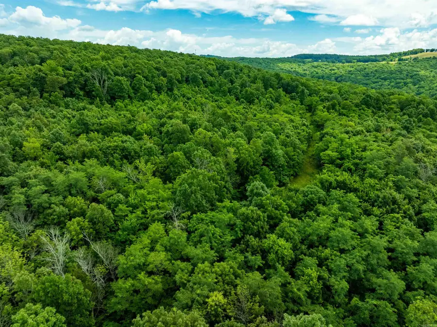 0 Old 66 Rd, Leslie, AR 72645 - Image #2