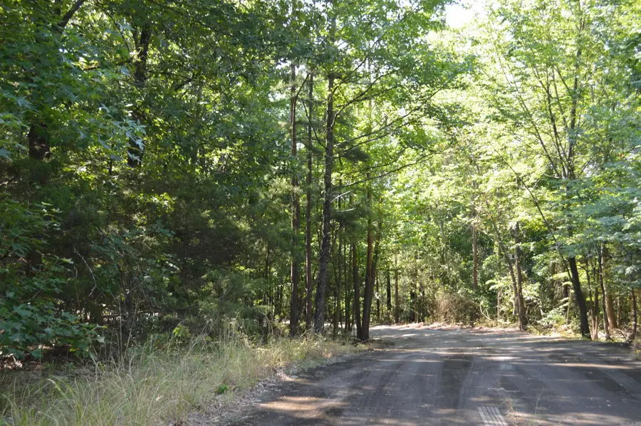 Lots 12 & 13 Timberline Drive, Heber Springs, AR 72543 - Image #3
