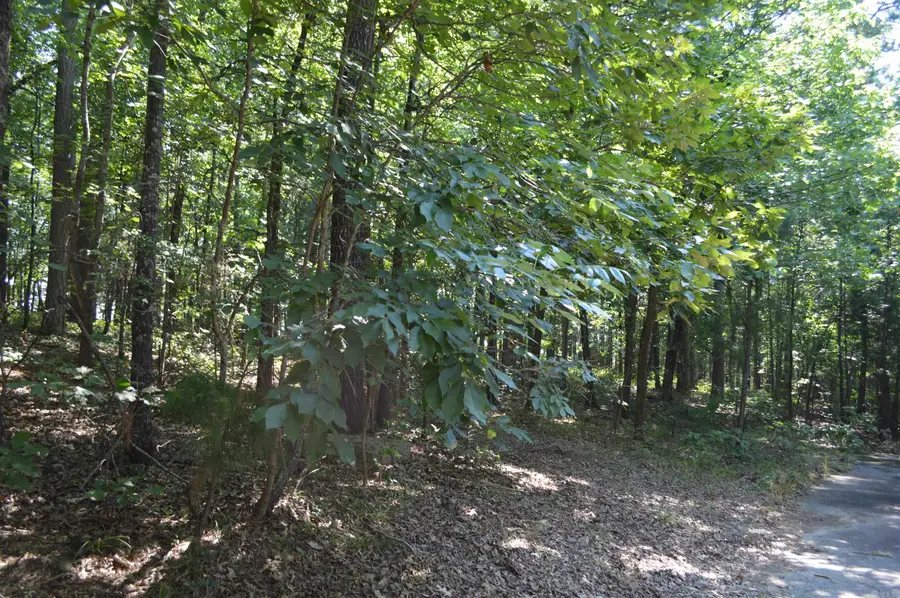 Lot 13 Timberline Drive, Heber Springs, AR 72543 - Image #3