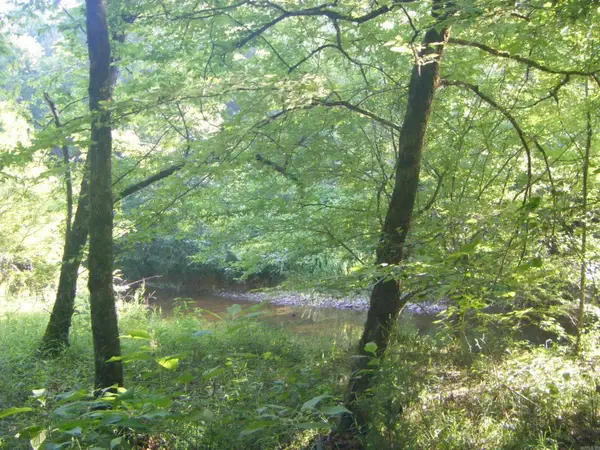 Mosley Road, Arkadelphia, AR 71923