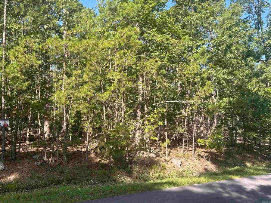 143 Viajero Drive, Hot Springs Village, AR 71909 - Image #2