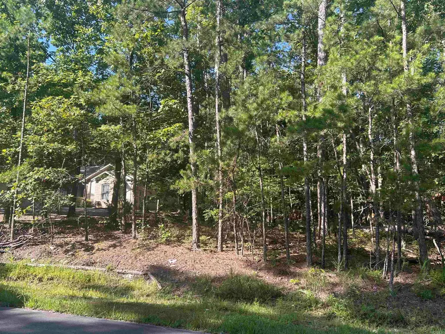 143 Viajero Drive, Hot Springs Village, AR 71909 - Image #3