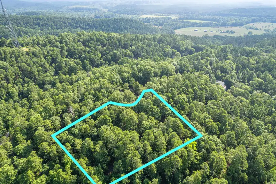 11 Pertusa Way, Hot Springs Village, AR 71909 - Image #2