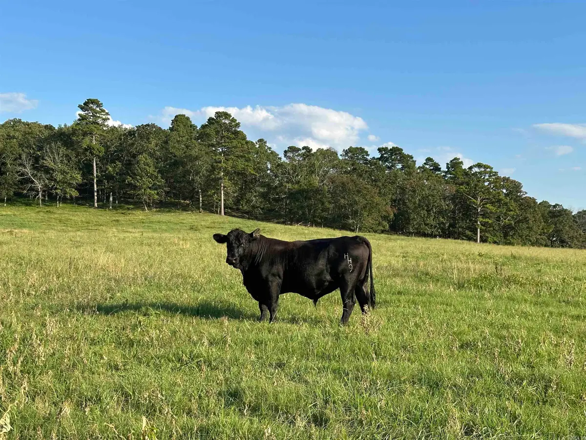 Address Withheld By Seller, Bigelow, AR 72016 - Image #1