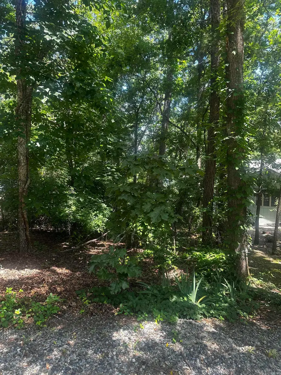 2 Otero Place, Hot Springs Village, AR 71909 - Image #2