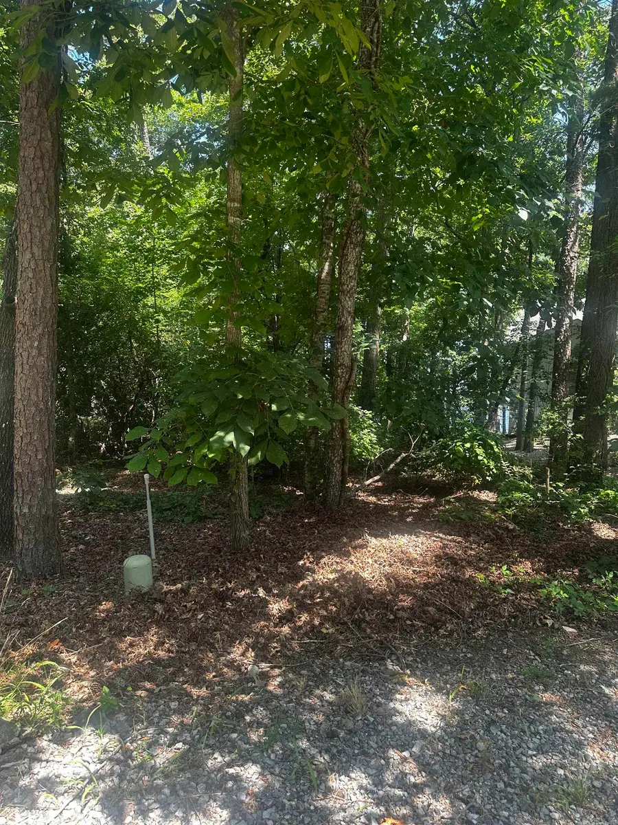 2 Otero Place, Hot Springs Village, AR 71909 - Image #3