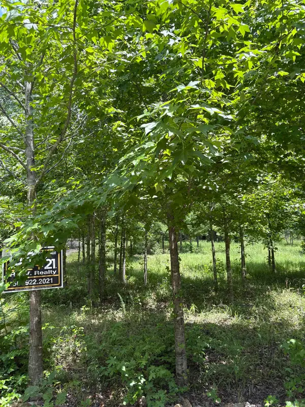 3 Ballobar Circle, Hot Springs Village, AR 71909