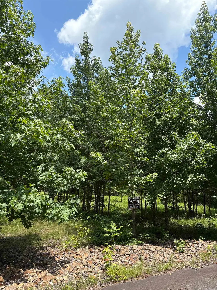 3 Ballobar Circle, Hot Springs Village, AR 71909 - Image #3