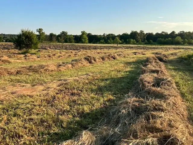 0 Fairview Road, Salem, AR 72576 - Image #2