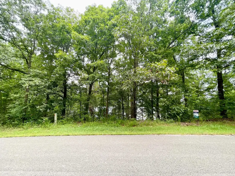 300 Isabella Lane, Horseshoe Bend, AR 72512 - Image #3