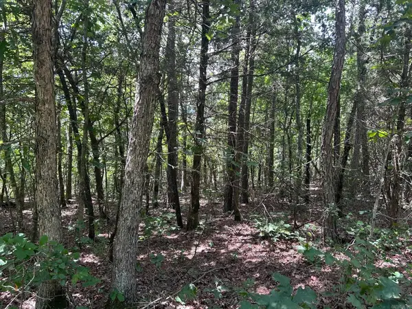 Sunnyland Road, Mountain View, AR 72560