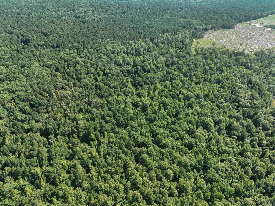 Address Withheld By Seller, Sparkman, AR 71763 - Image #3