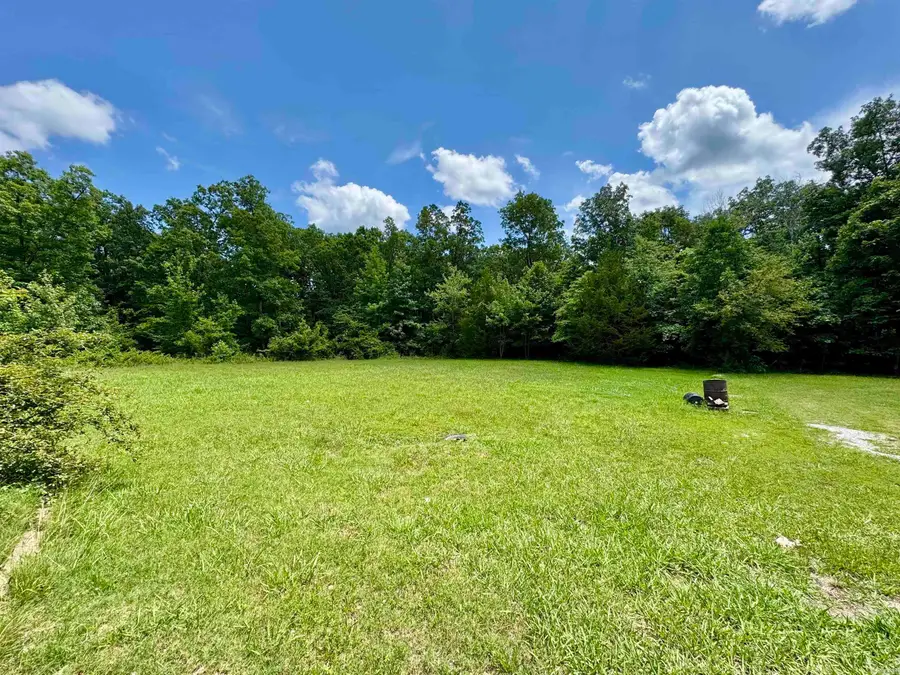 680 Petters Rd., Mountain View, AR 72560 - Image #2