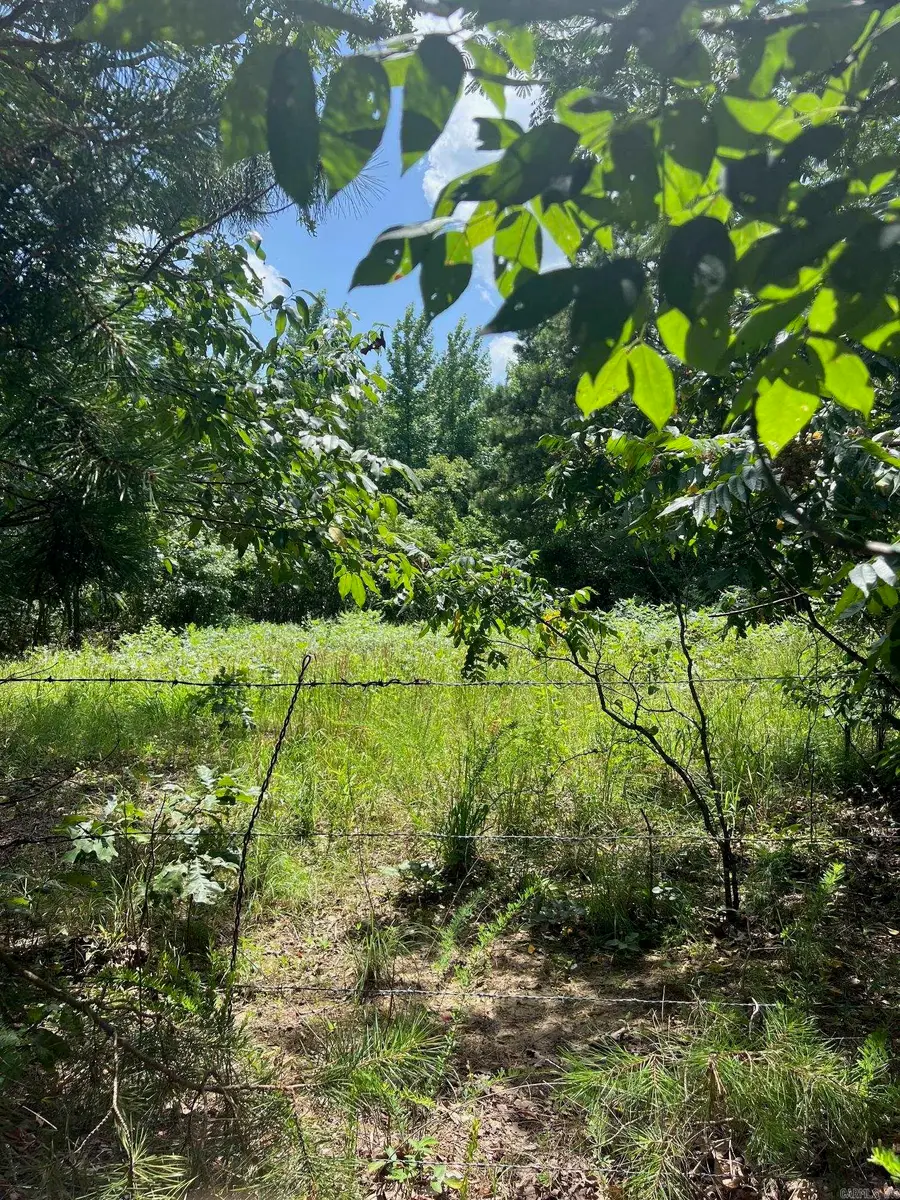 Address Withheld By Seller, Shirley, AR 72153 - Image #3