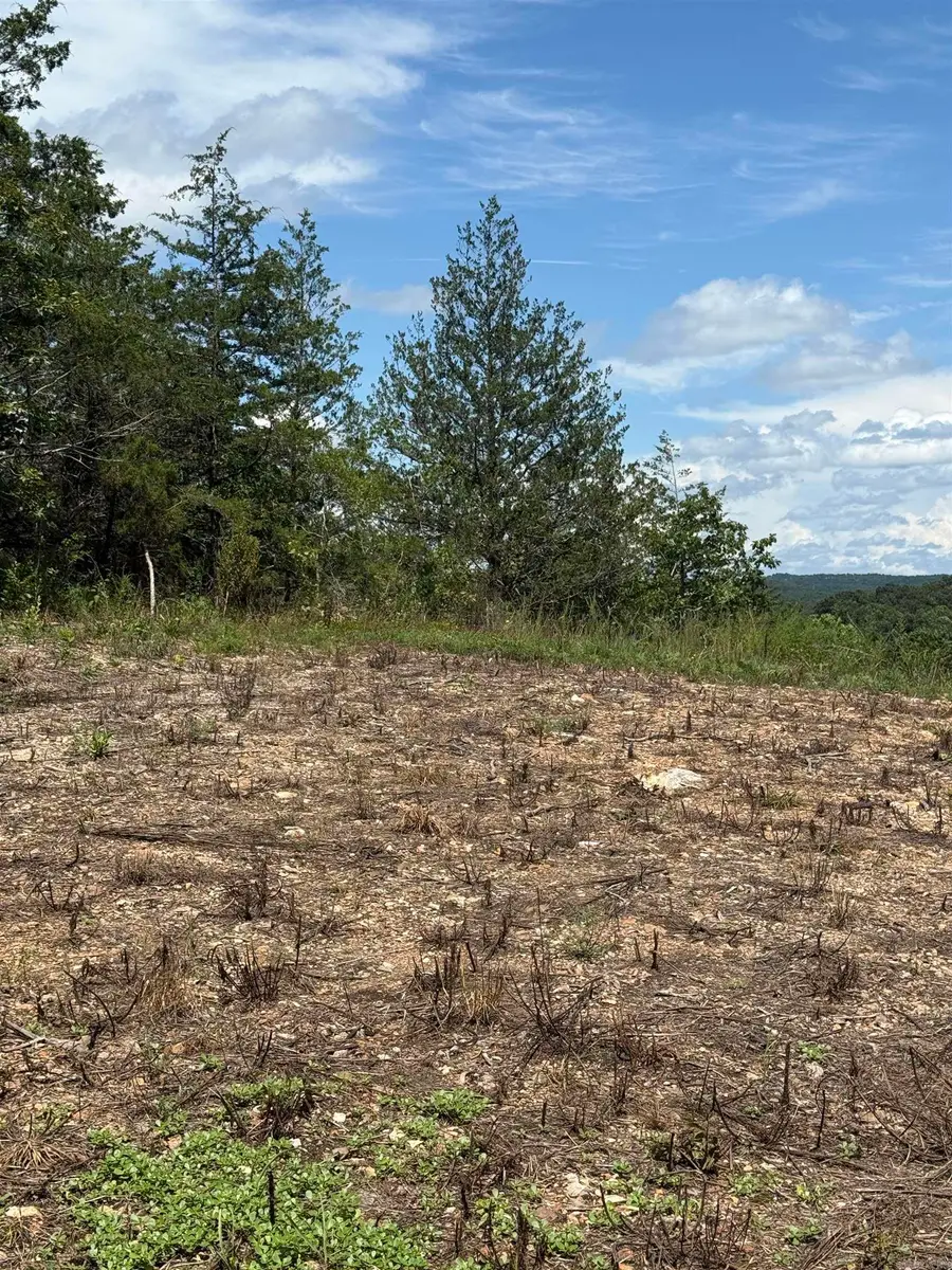 12952 Hwy 5 Highway, Norfork, AR 72658 - Image #2