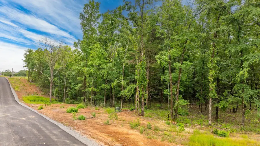 19 Sky Eagle Drive, Greenbrier, AR 72058 - Image #2