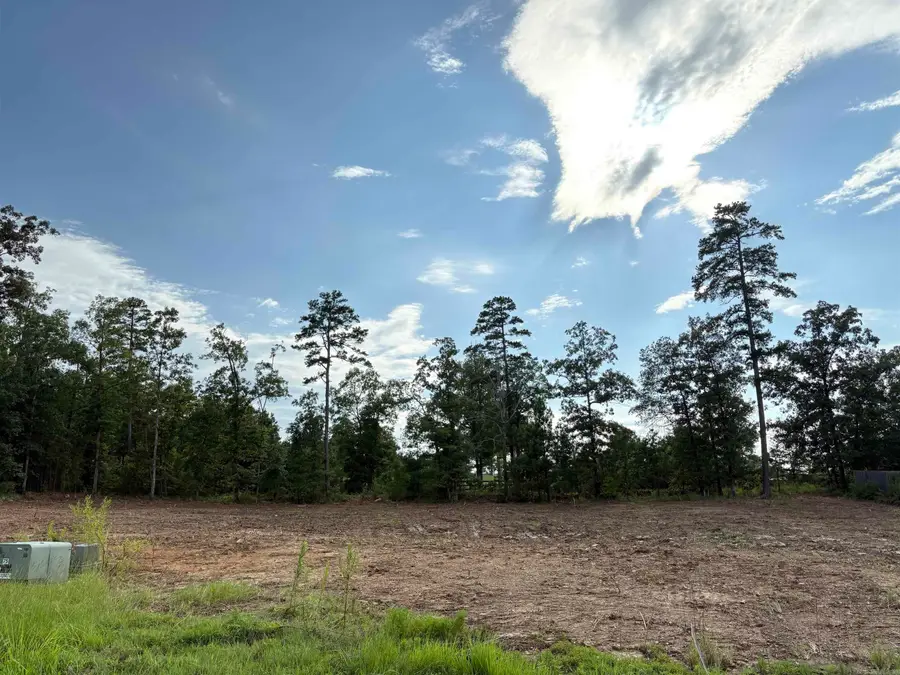 336 Waterview Meadow Lane, Roland, AR 72135 - Image #2