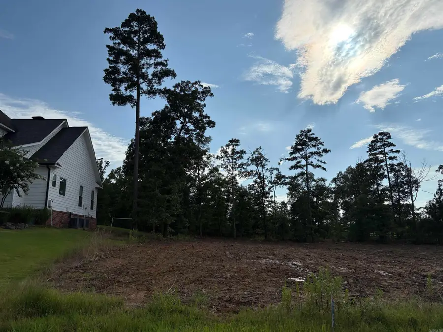 336 Waterview Meadow Lane, Roland, AR 72135 - Image #3