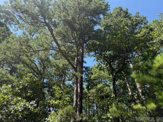 3 Bajista Lane, Hot Springs Village, AR 71909 - Image #3