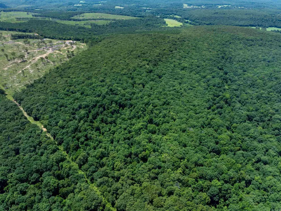 Address Withheld By Seller, Batesville, AR 72501 - Image #3