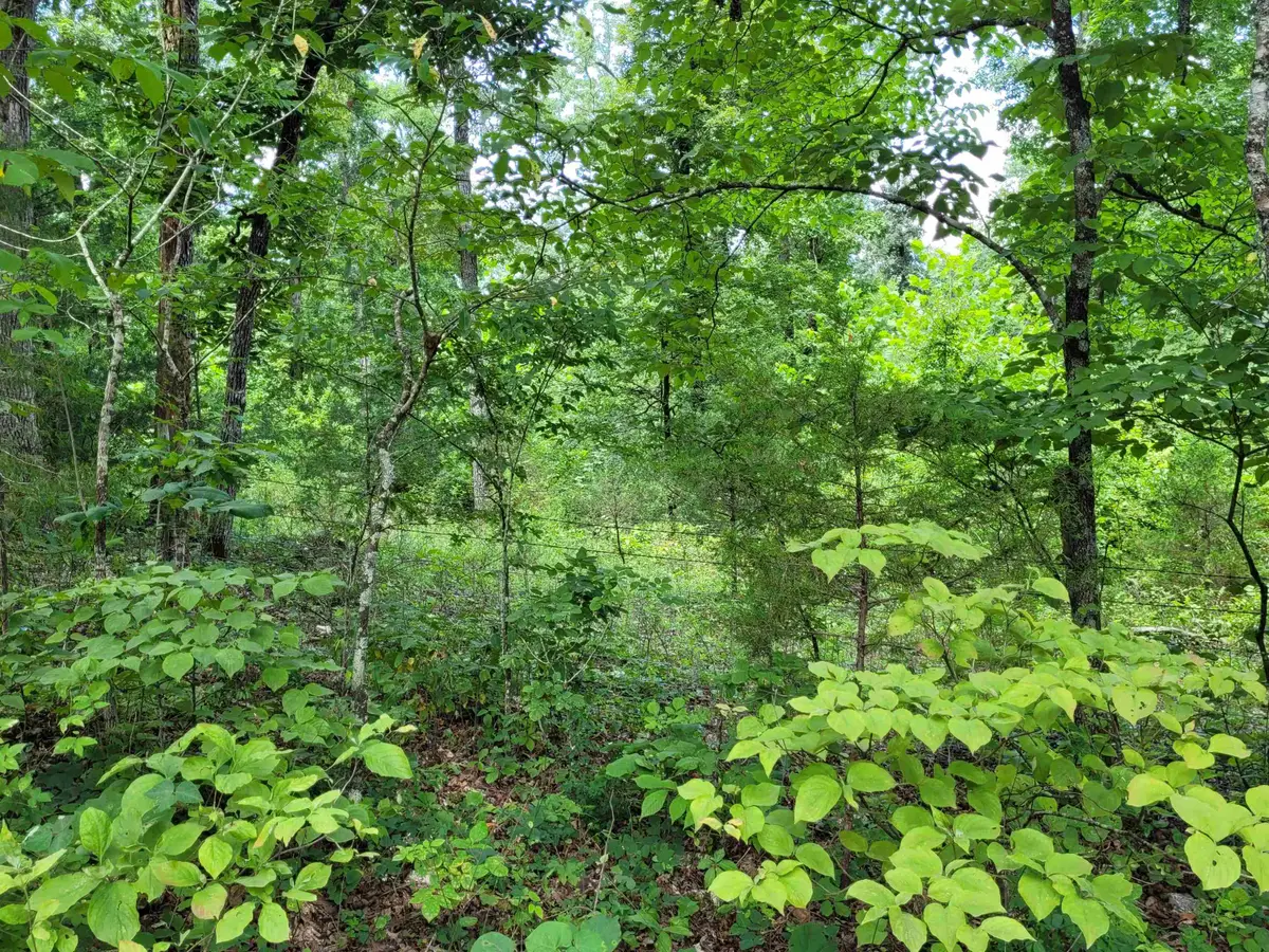 TBD Tall Timber Rd, Hardy, AR 72542 - Image #1