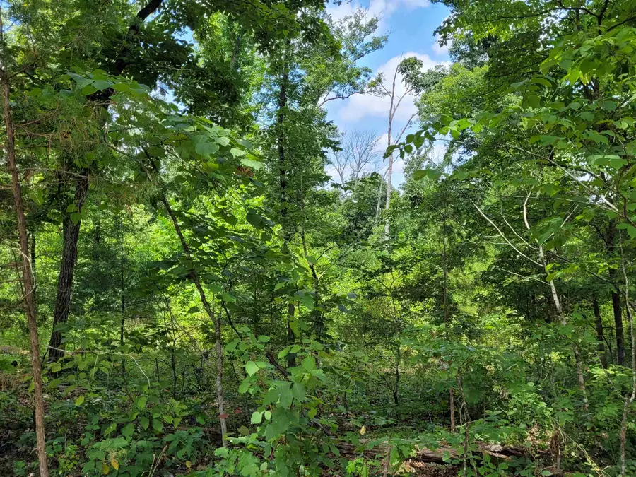 TBD Tall Timber Rd, Hardy, AR 72542 - Image #3