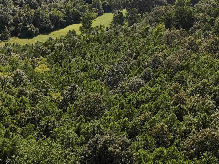 Lot 1 Polk Road 78, Mena, AR 71953 - Image #2