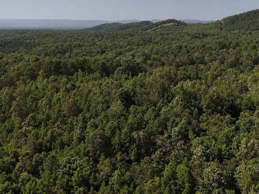 Lot 1 Polk Road 78, Mena, AR 71953 - Image #3