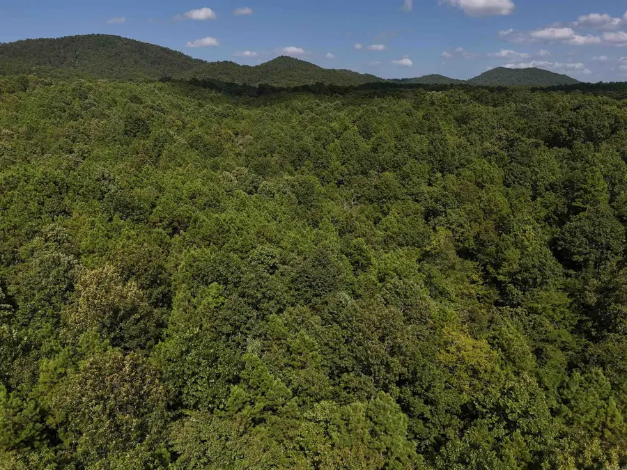 Lot 4 Polk Road 78, Mena, AR 71953 - Image #2