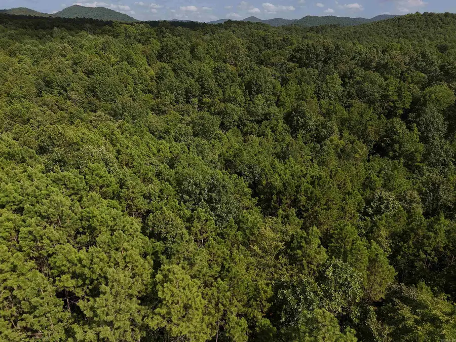 Lot 4 Polk Road 78, Mena, AR 71953 - Image #3