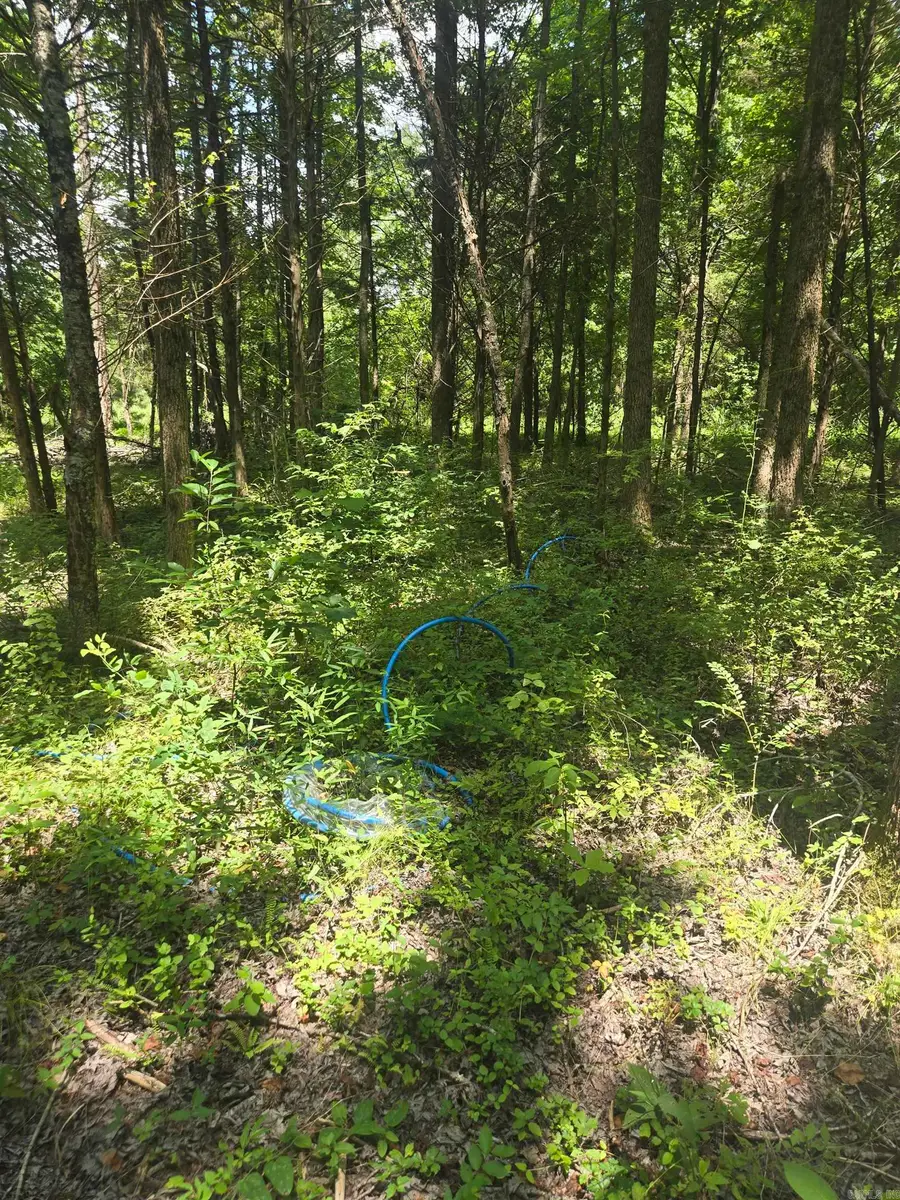 1084 Pickens Chapel, Marion, AR 72143 - Image #2