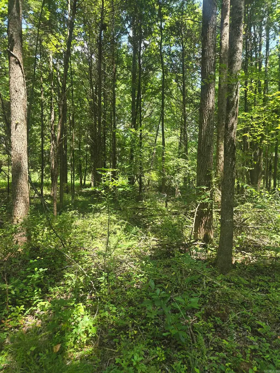 1084 Pickens Chapel, Marion, AR 72143 - Image #3