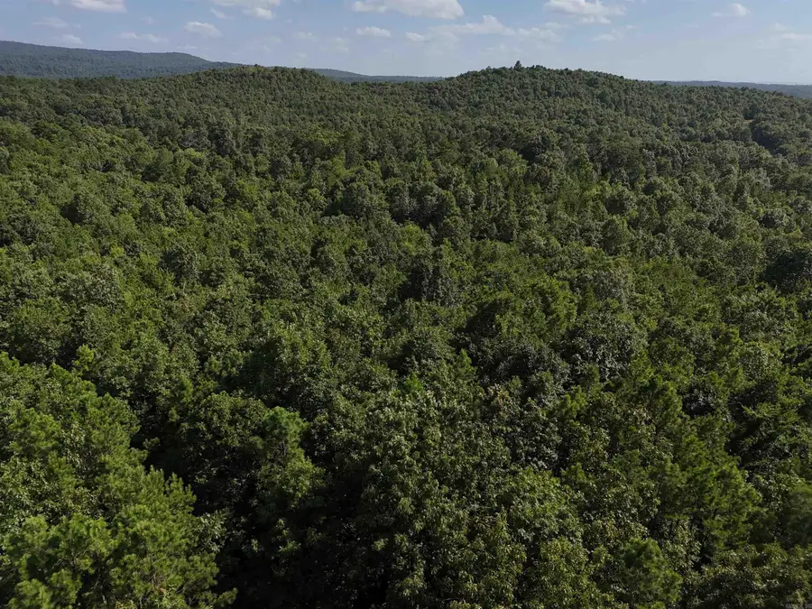 Lot 6 Polk Road 78, Mena, AR 71953 - Image #3