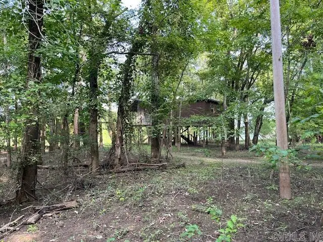 00 Duncan Bend Trail, Bald Knob, AR 72006 - Image #1